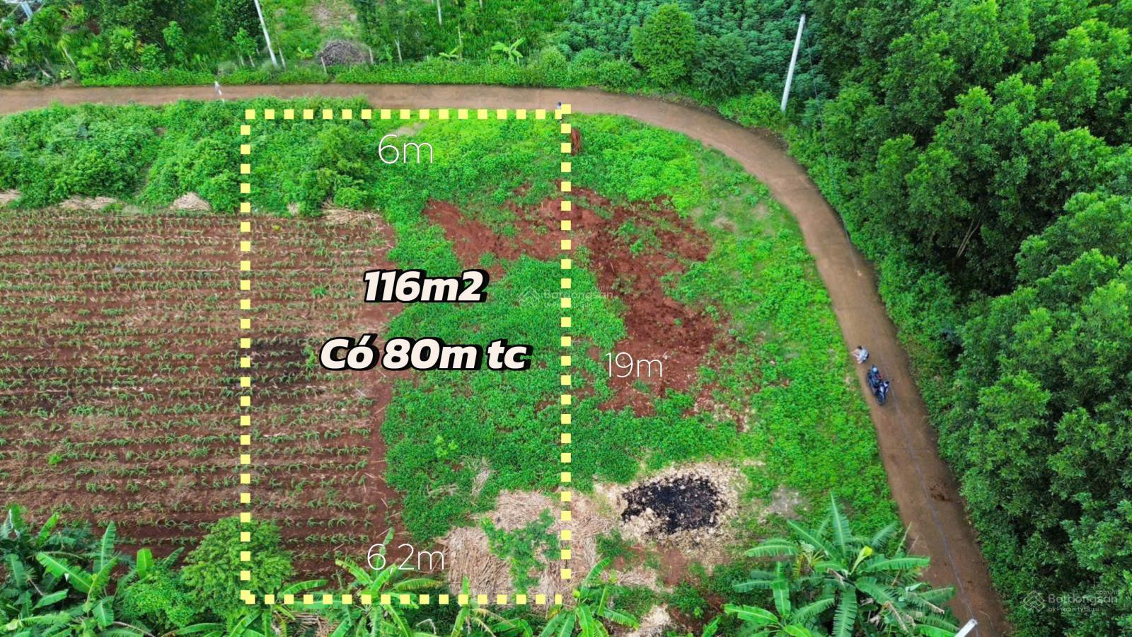 Bán đất 6x18m xã Kim Long, TP. HCM có 80m² thổ cư, sổ riêng, giá chỉ 580tr Bán đất 6x18m xã Kim Long, TP. HCM có 80m² thổ cư, sổ riêng, giá chỉ 580tr