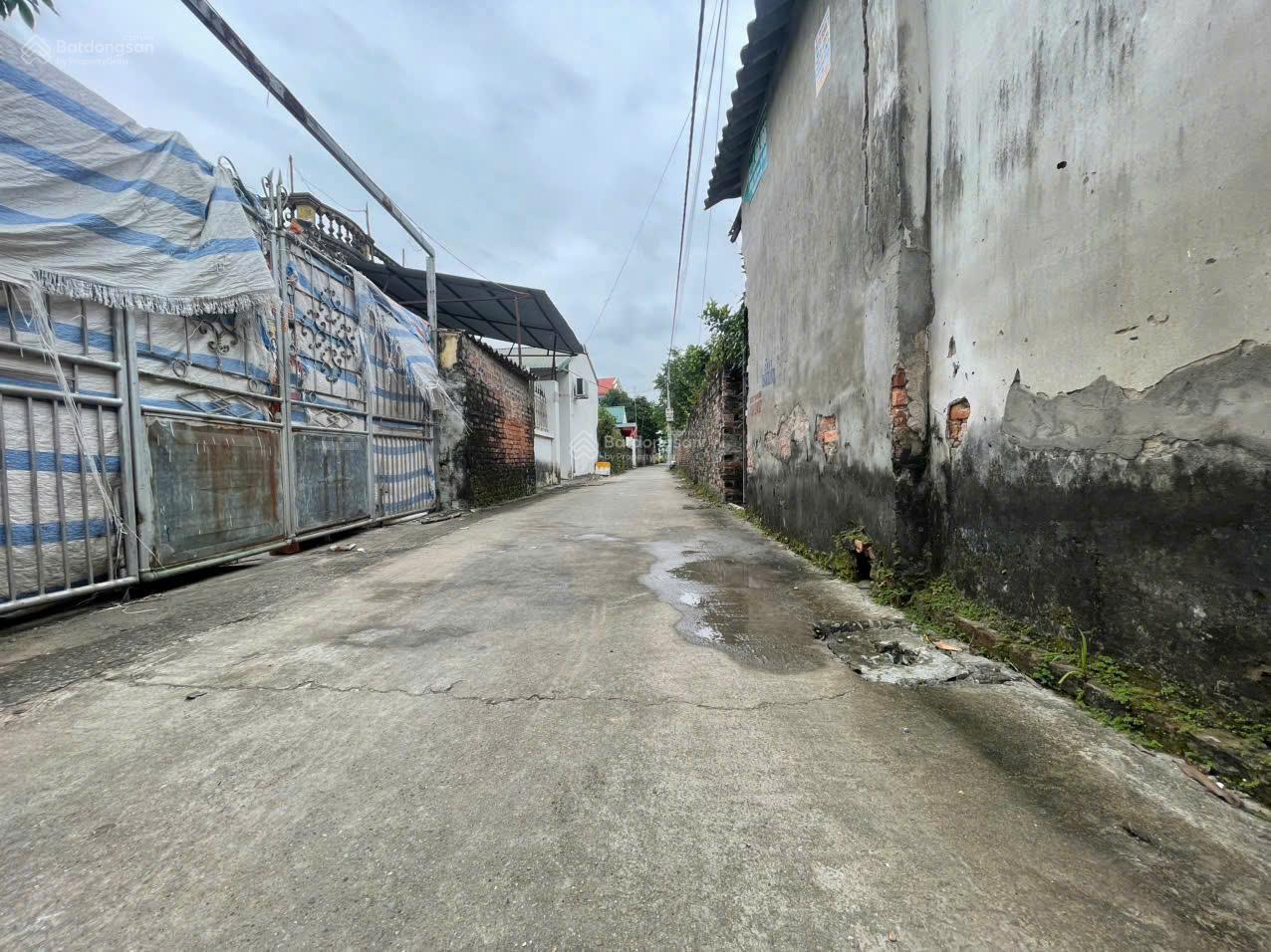 Bán đất Mỹ Hào, Hưng Yên, đường thông, xe ô tô 7 chỗ ra vào thoải mái Bán đất Mỹ Hào, Hưng Yên, đường thông, xe ô tô 7 chỗ ra vào thoải mái