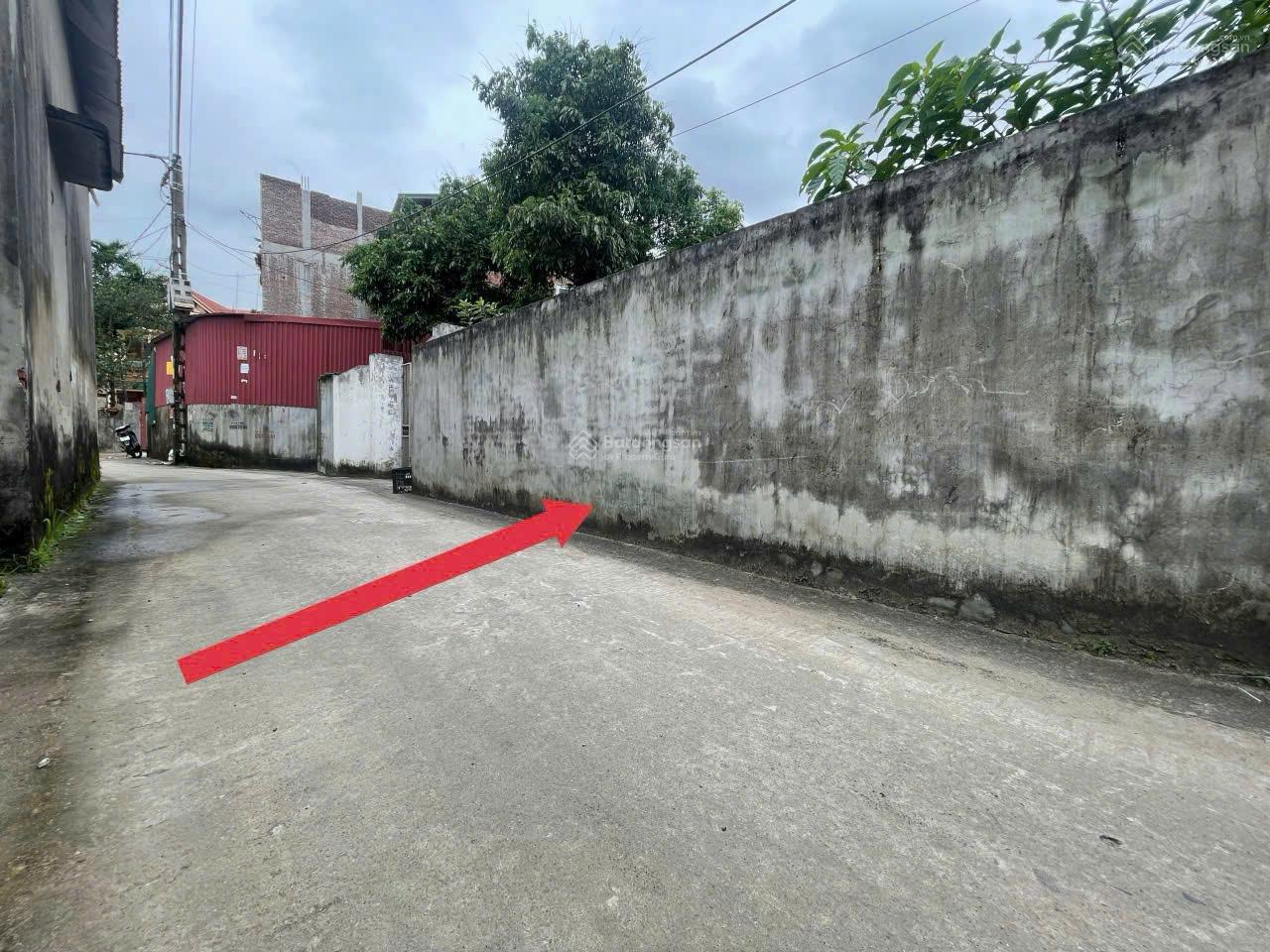 Bán đất Mỹ Hào, Hưng Yên, đường thông, xe ô tô 7 chỗ ra vào thoải mái Bán đất Mỹ Hào, Hưng Yên, đường thông, xe ô tô 7 chỗ ra vào thoải mái