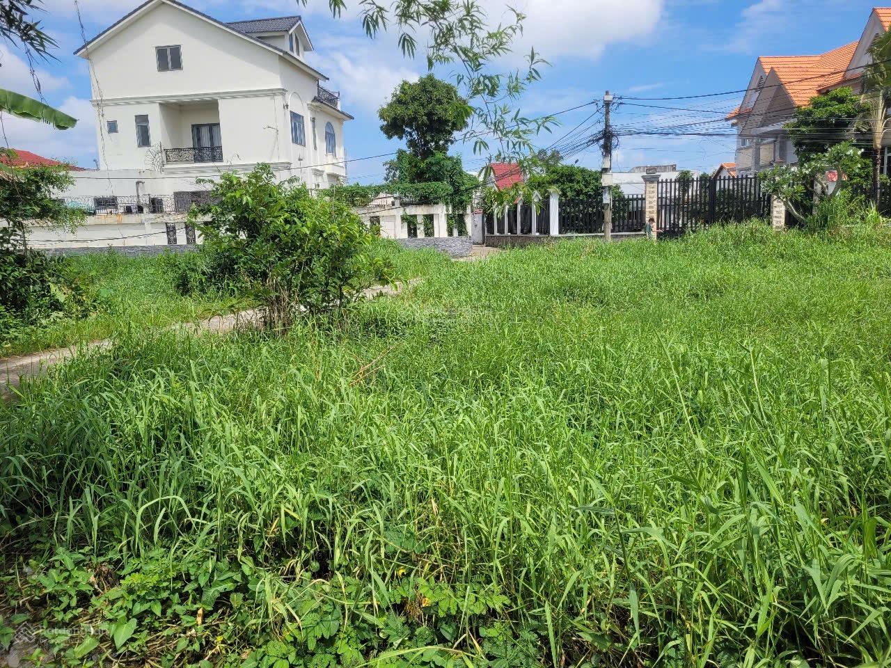 Bán đất dân cư 1.258m2 giá tốt cho nhà đầu tư Bán đất dân cư 1.258m2 giá tốt cho nhà đầu tư