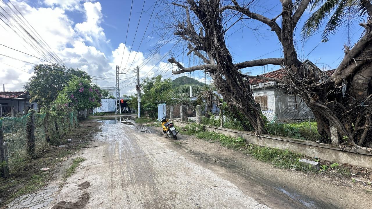 Đất đẹp Vạn Ninh - Vân Phong - Khánh Hoà. DT 880m2 ngang 14m (200m2 thổ). Giá 3,9tỷ. Cách biển 1km
