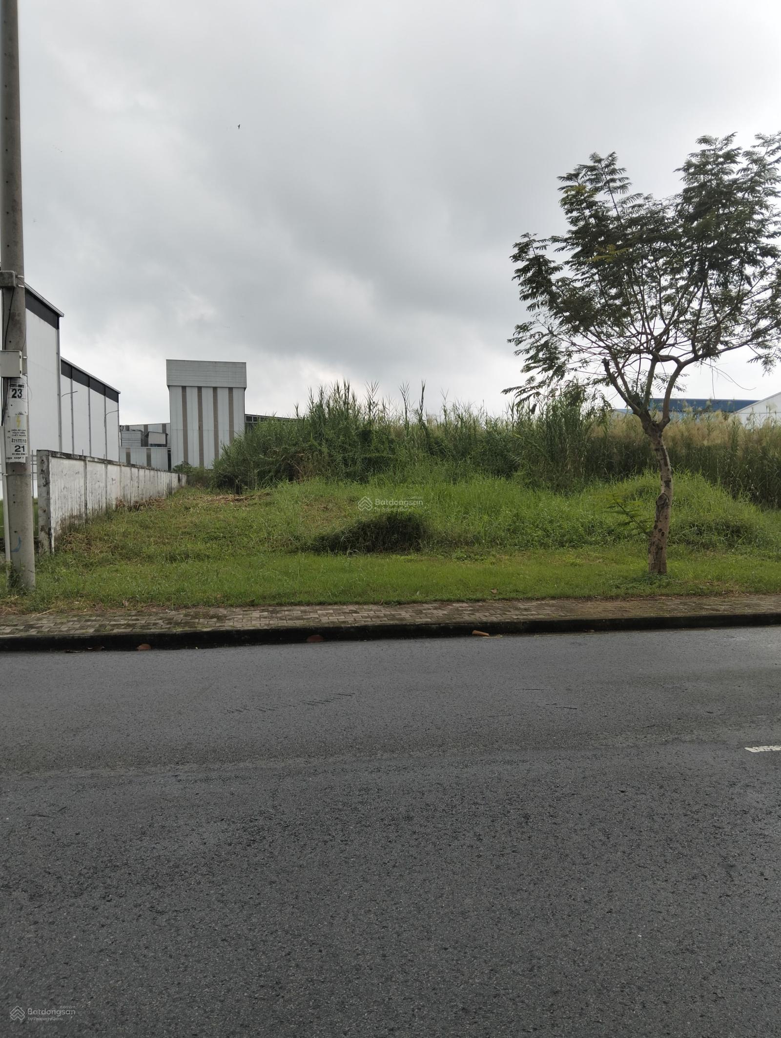 11050m2 đất KCN Nhị Thành, Thủ Thừa giá rẻ