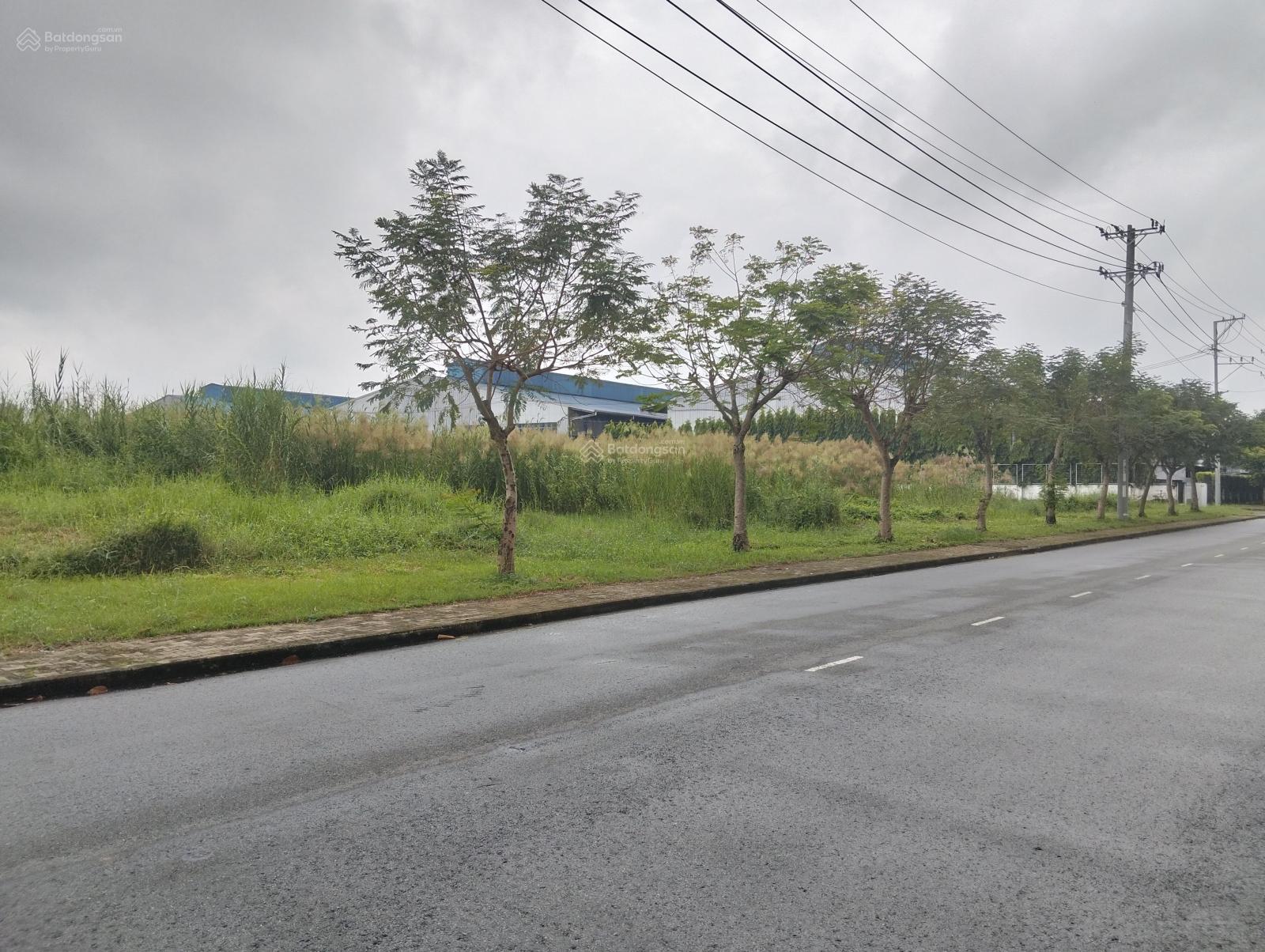 11050m2 đất KCN Nhị Thành, Thủ Thừa giá rẻ