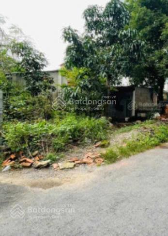 Bán lô đất cực hiếm, Bình Thọ, hẻm xe hơi thẳng 1 trục, 7x15m, chỉ 9.5 tỷ TL