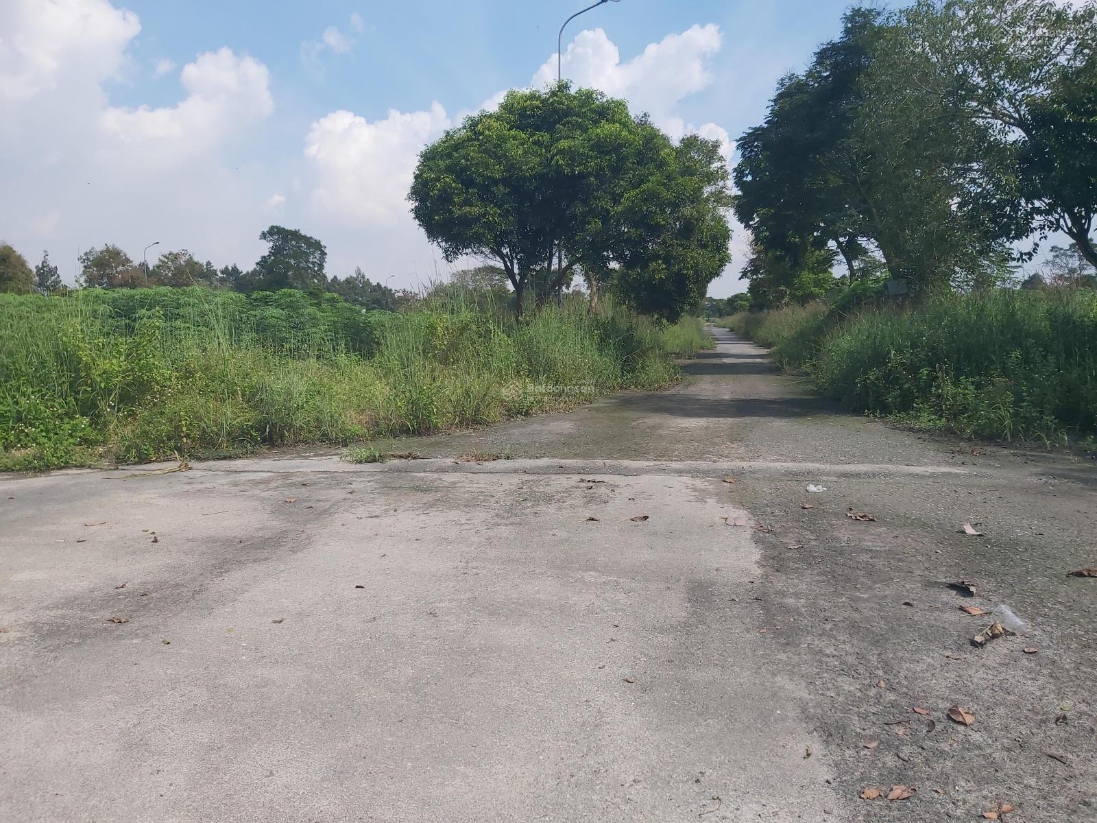 Cần bán đất nền nhà phố diện tích 152.5m2 mặt sau đường Nguyễn Văn Cừ Xã Phước An tỉnh Đồng Nai