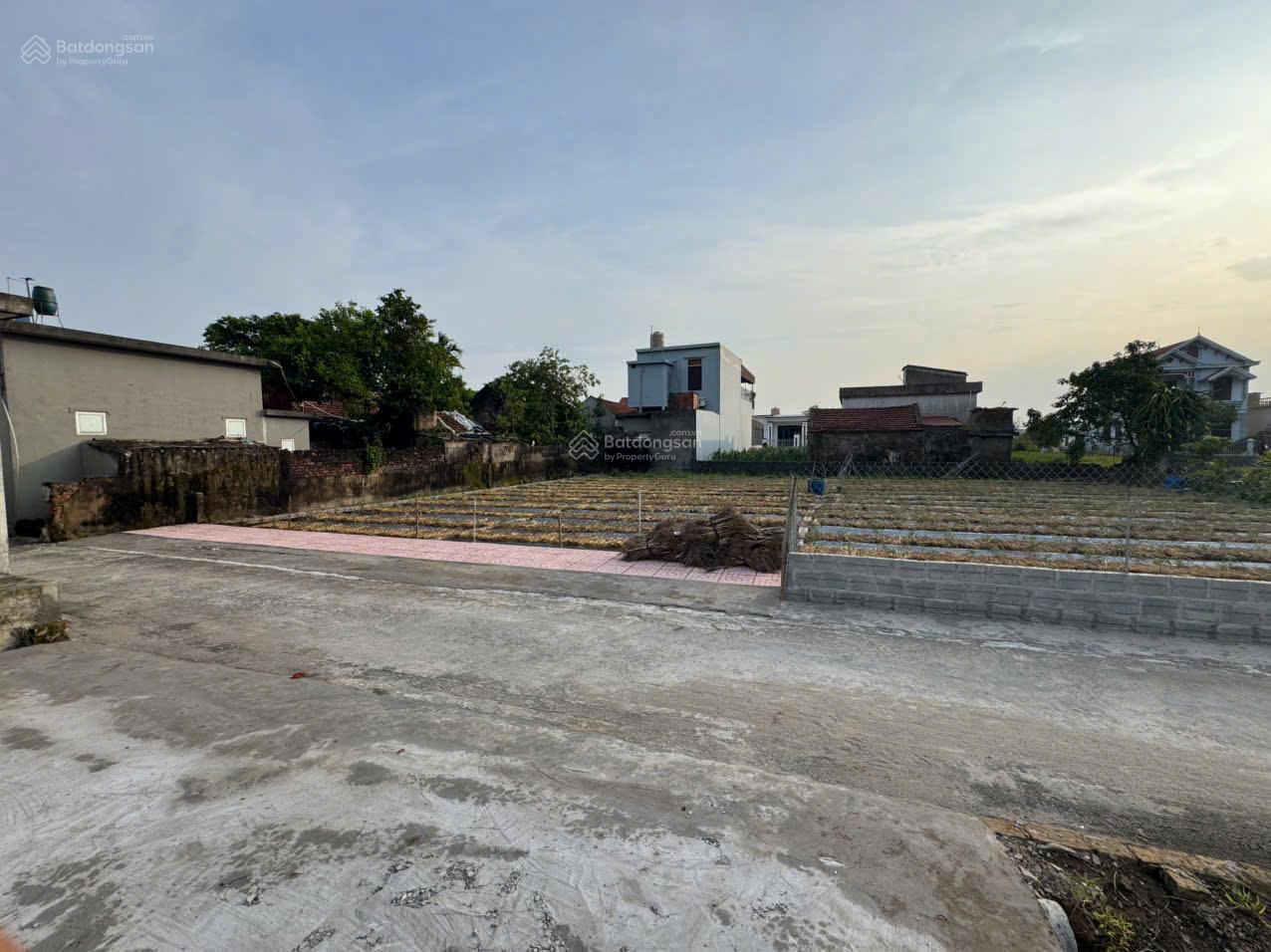 Bán đất thổ cư 100m² Giao Phong Giao Thủy, Nam Định sổ riêng lâu dài