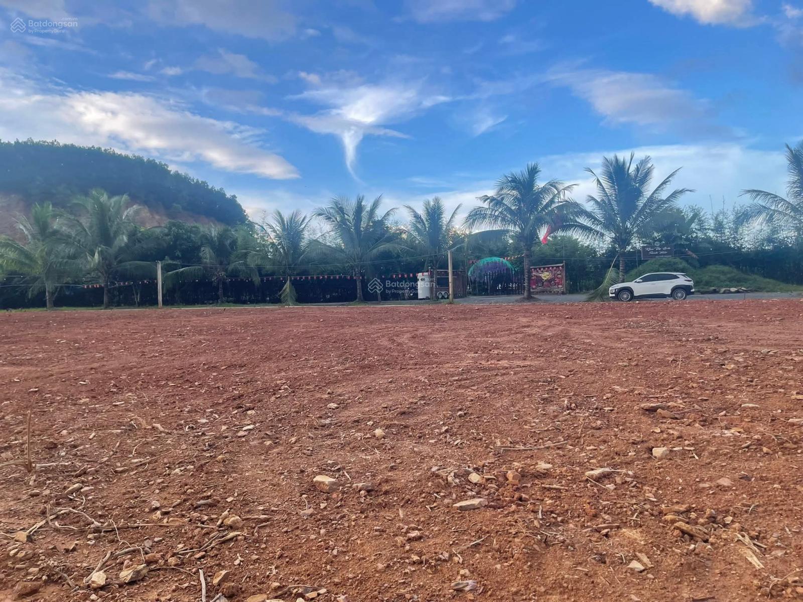 Bán lô đất trồng cây lâu năm 3850m2, gần sát đường DT 602, gần khu thương mại tự do