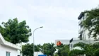 CC bán đất biệt thự khu 31ha Trâu Quỳ Gia Lâm 236m2 MT 11.83m vị trí đẹp trung tâm. Giá cực tốt