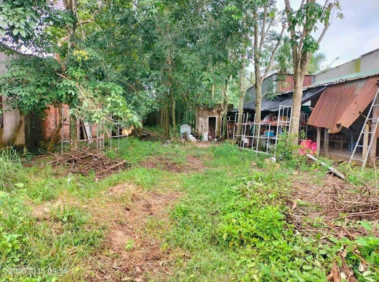 Bán đất MT đường nhựa xã An Nhơn Tây gồm 2 sổ, DT: 13 X86m 1104m2, có sẵn 200m2 TC, giá chỉ 4,4 tỷ