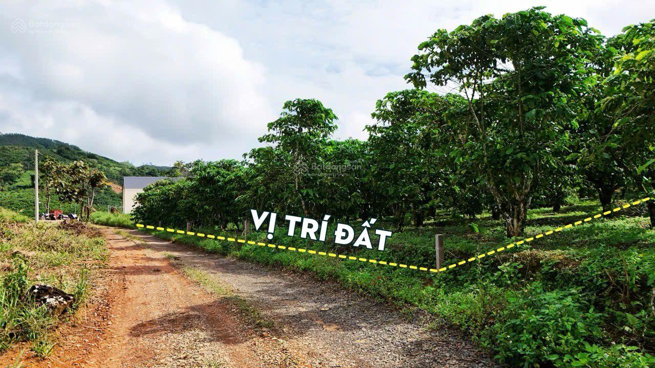 Đất view đồi Bát Úp, Lộc Thành cũ Bảo Lâm 3 Lâm Đồng, view săn mây, có sẵn thổ cư. 750m2/950 triệu Đất view đồi Bát Úp, Lộc Thành cũ Bảo Lâm 3 Lâm Đồng, view săn mây, có sẵn thổ cư. 750m2/950 triệu