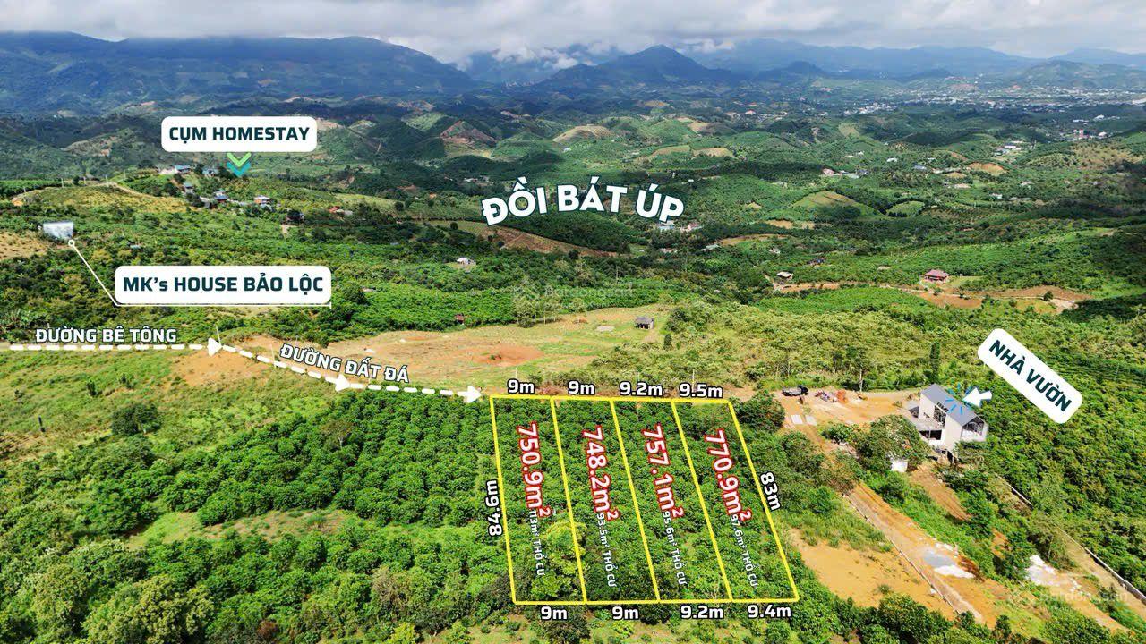 Đất view đồi Bát Úp, Lộc Thành cũ Bảo Lâm 3 Lâm Đồng, view săn mây, có sẵn thổ cư. 750m2/950 triệu