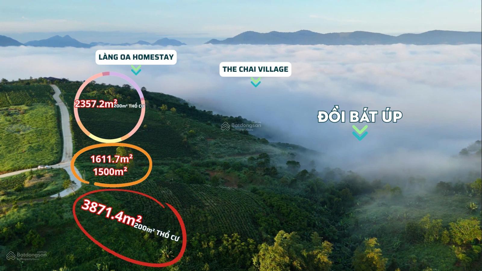 Đất view săn mây đồi Bát Úp Lộc Thành, Bảo Lâm. DT: 1500m2-3800m2 có sẵn thổ cư, giá chỉ từ 2,5 tỷ