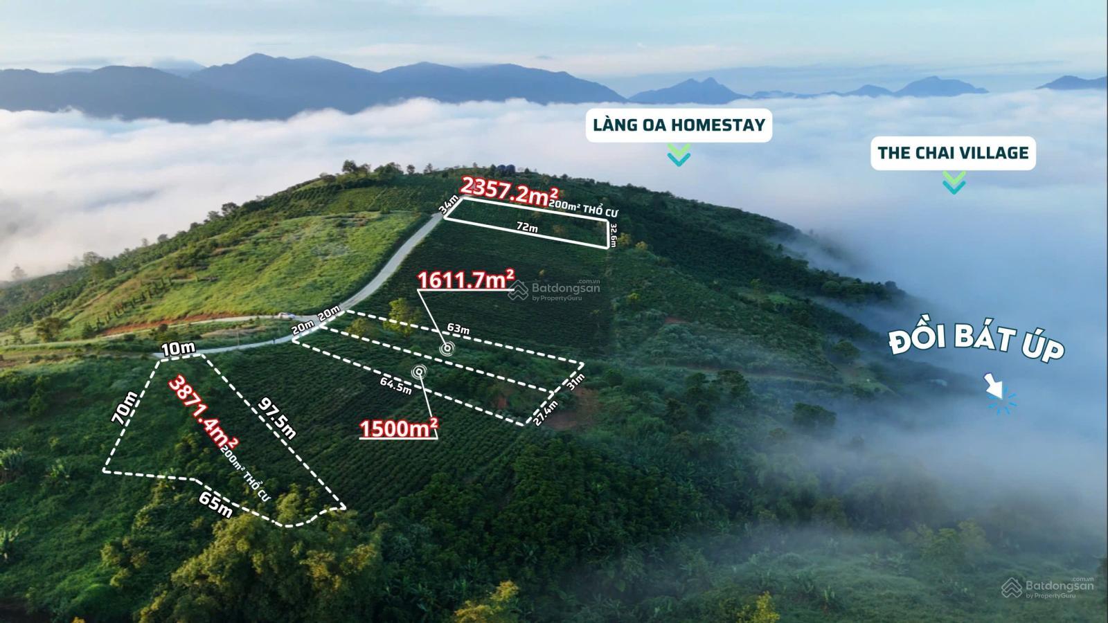 Đất view săn mây đồi Bát Úp Lộc Thành, Bảo Lâm. DT: 1500m2-3800m2 có sẵn thổ cư, giá chỉ từ 2,5 tỷ