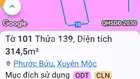 Vườn nhãn trĩu trái thị trấn Phước Bửu Xuyên Mộc (Xã Hồ Tràm TPHCM)cách Hồ Tràm 7km