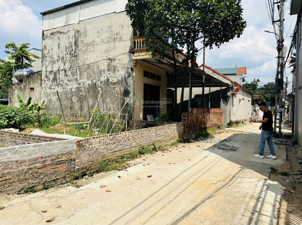 Cần bán gấp giá cực hợp lý vị trí: 96m2 Lương Quy, xã Xuân Nộn, huyện Đông Anh