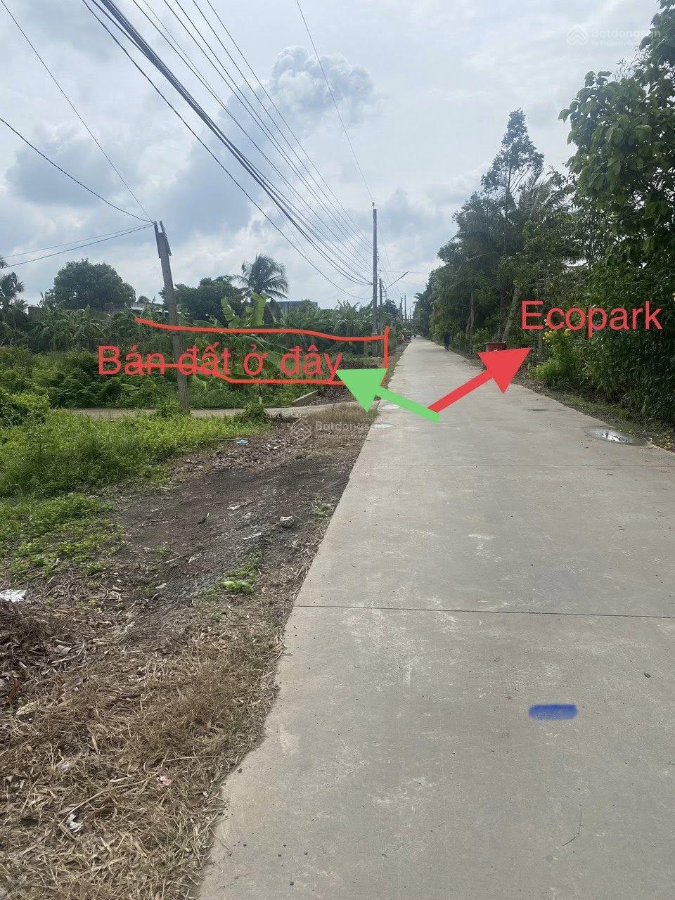 Bán nền thổ cư mặt tiền đường Liên Ấp 3 - 4, Thanh Phú, giáp ranh dự án Ecopark