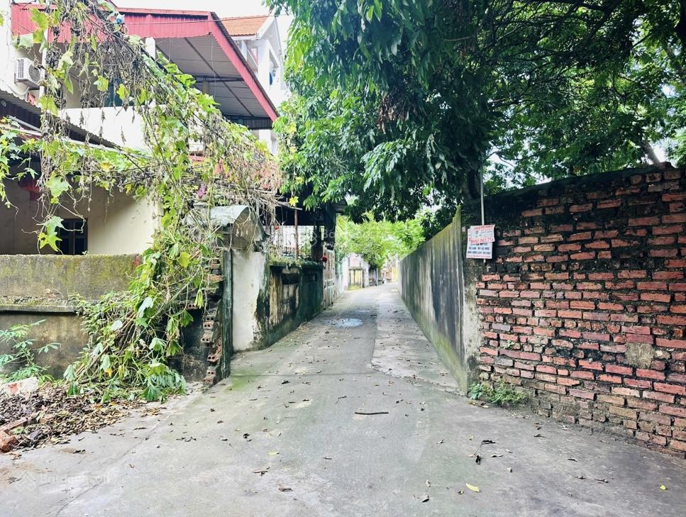 Bán đất Phù Lỗ Sóc Sơn 102m2 mặt tiền 6,3m, ngõ rộng hơn 3m