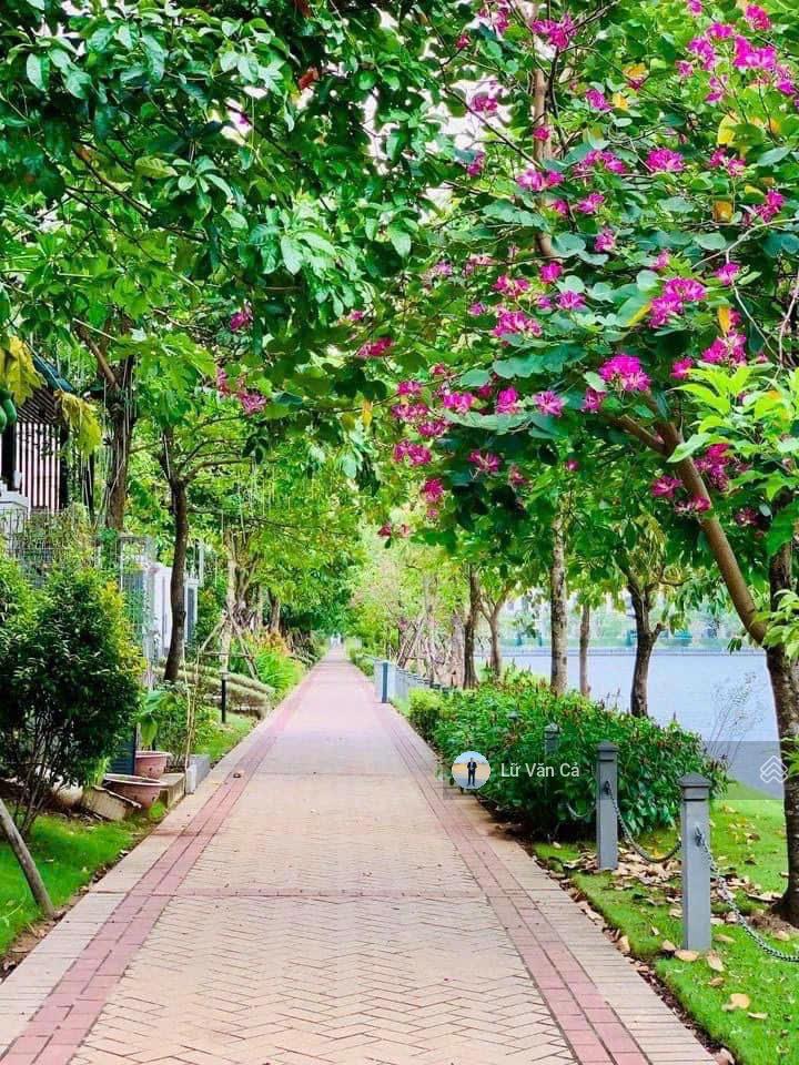 Bán gấp nhà phố view hồ tại Lakeview City, giá cực chất 25,5 tỷ, 100m2, Q2, HCM Bán gấp nhà phố view hồ tại Lakeview City, giá cực chất 25,5 tỷ, 100m2, Q2, HCM