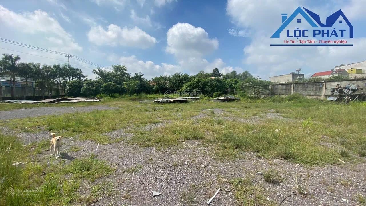 Bán đất ở ONT 3200m2 đường nhựa xã An Phước, Long Thành Đồng Nai. Giá chỉ 24 tỷ
