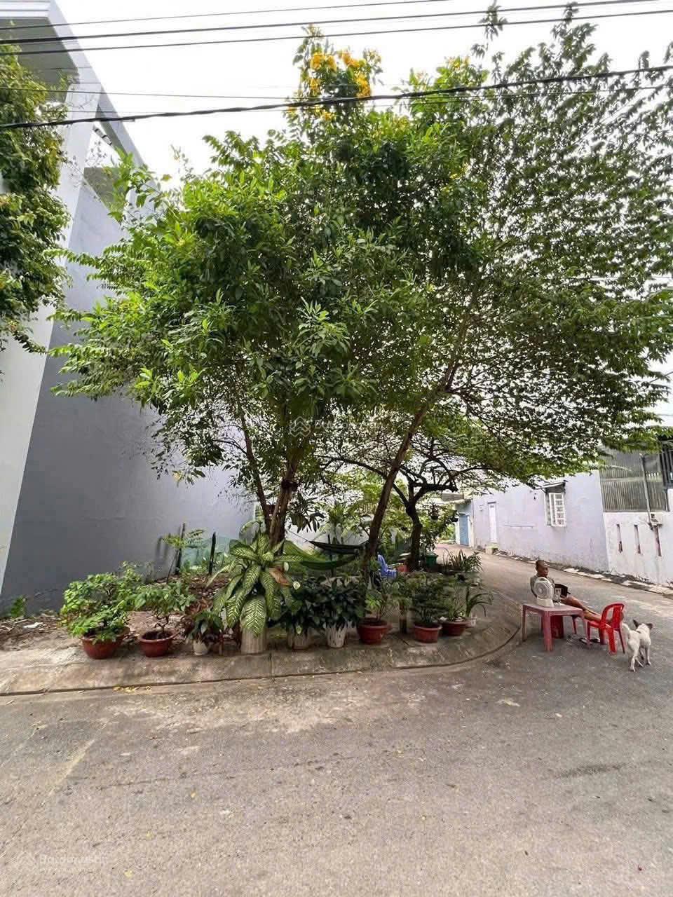 Bán lô góc 2 mặt tiền đường Số 6, phường Long Bình, TP. Thủ Đức
