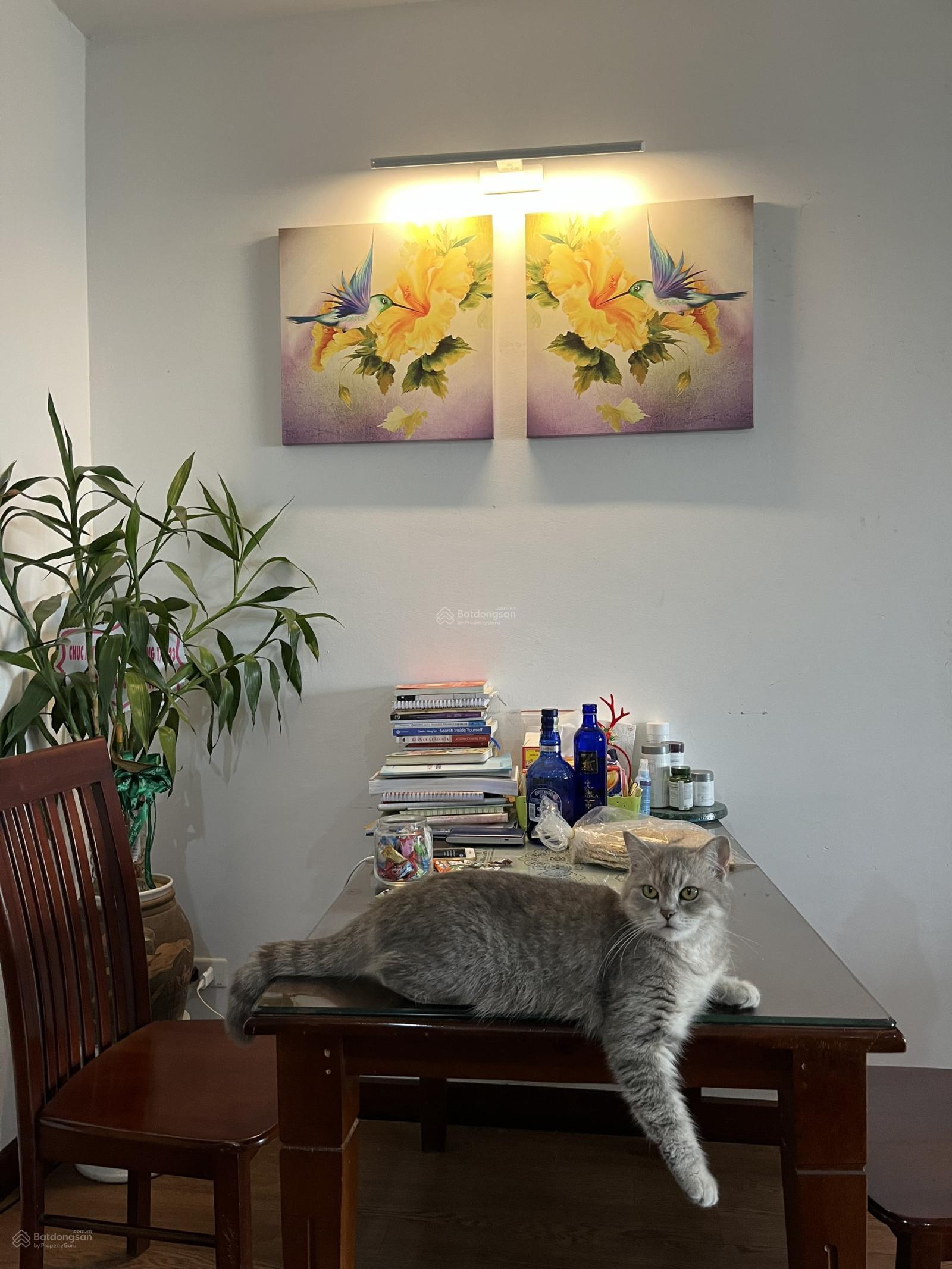 Bán căn hộ 3PN, 2WC, 117m2 tại Thăng Long Number One, Trung Hòa, Cầu Giấy, Hà Nội, 10 tỷ VND