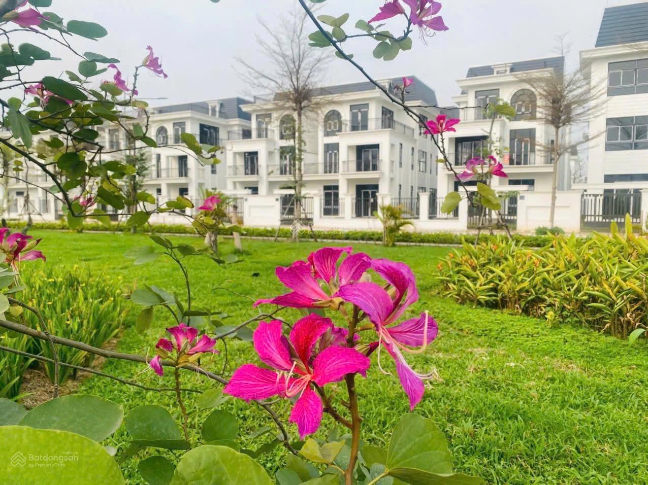 Bán biệt thự HUD Me Linh Central, 28,5 tỷ, 375 m2, giá siêu hời