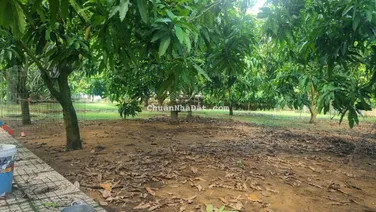 Bán 5.000m2 thổ cư, thị trấn Cần Thạnh, Cần giờ, gần Vinhomes, nhà vườn nghỉ dưỡng, giá chỉ 19tr/m2