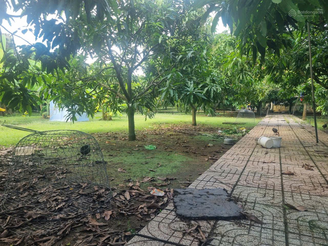 Bán 5.000m2 thổ cư, thị trấn Cần Thạnh, Cần giờ, gần Vinhomes, nhà vườn nghỉ dưỡng, giá chỉ 19tr/m2