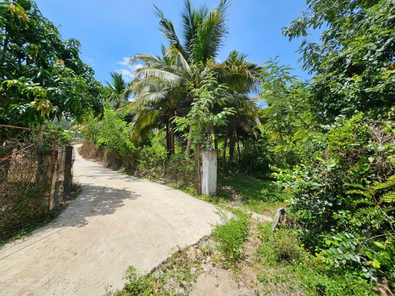 Bán đất vườn đường ô tô, Phước Thượng, Phước Đồng, Nha Trang, Khánh Hòa