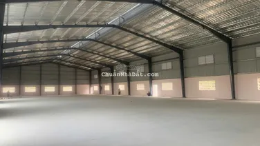 Cho thuê cụm kho xưởng 1.650m2. Kho đạt chuẩn KCN
