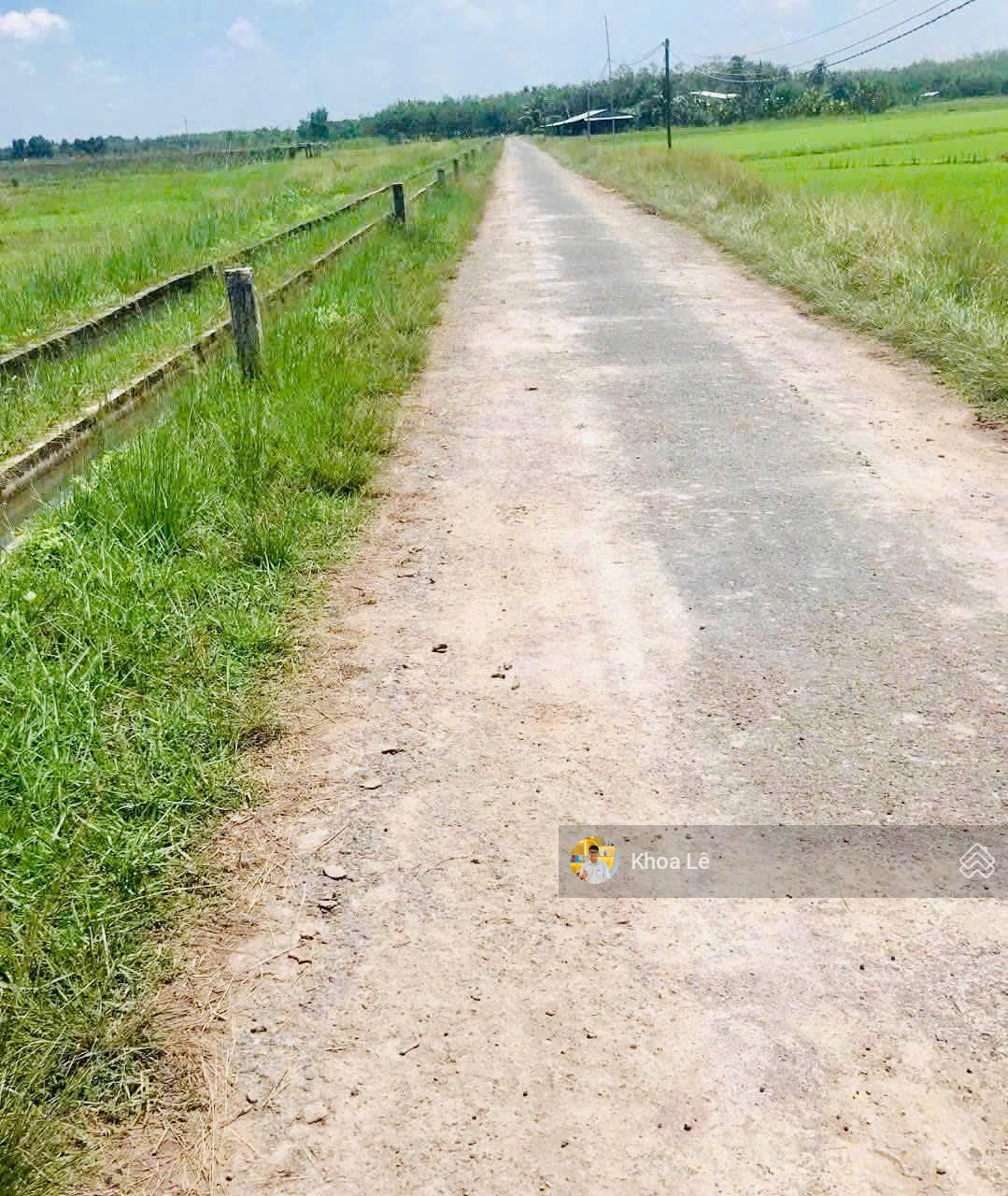 Đất vườn 1442m2 tại xã Thanh Phước, Gò Dầu, Tây Ninh. SHR, sang tên công chứng ngay, giá 1tỷ05 Đất vườn 1442m2 tại xã Thanh Phước, Gò Dầu, Tây Ninh. SHR, sang tên công chứng ngay, giá 1tỷ05