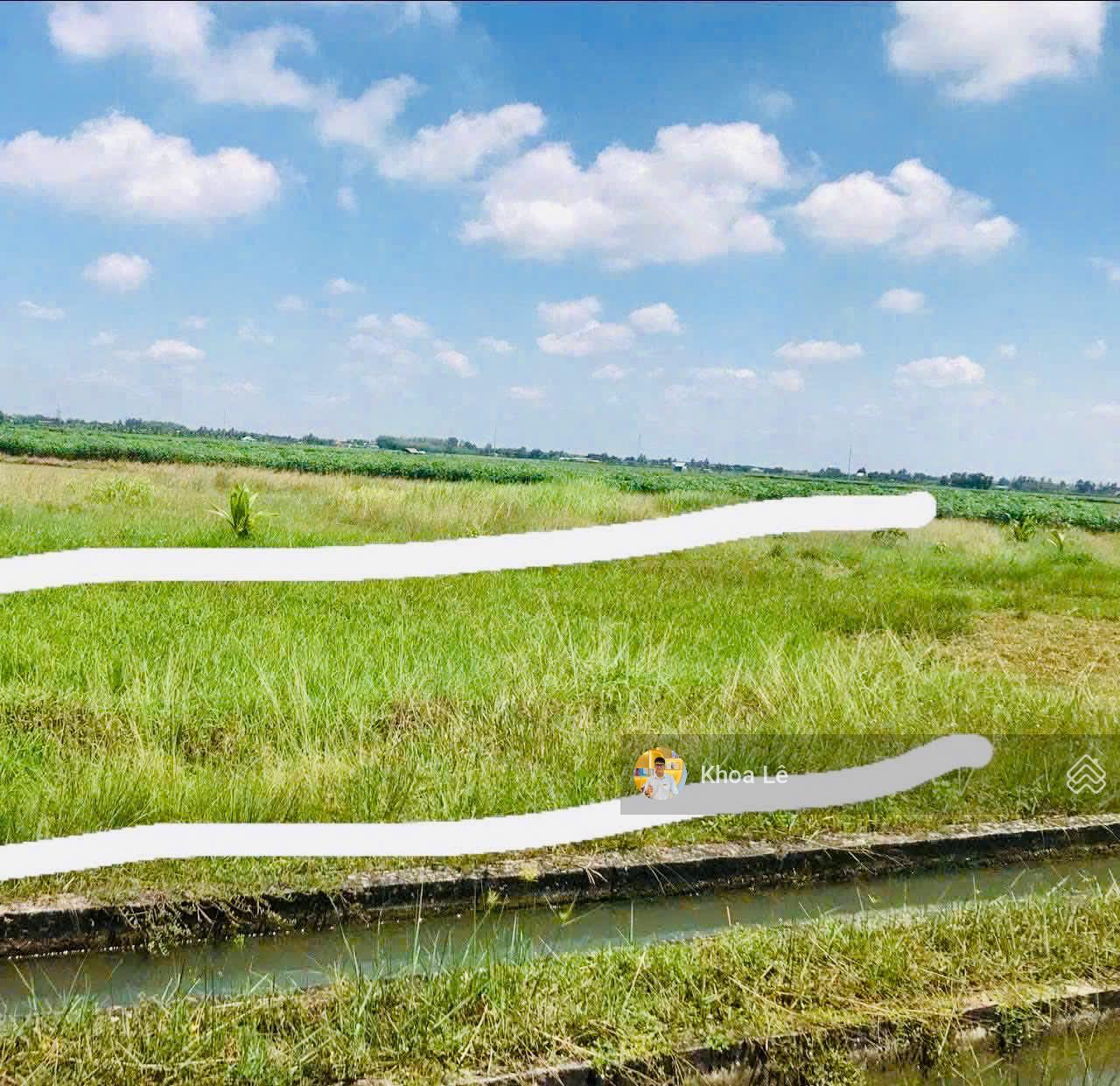 Đất vườn 1442m2 tại xã Thanh Phước, Gò Dầu, Tây Ninh. SHR, sang tên công chứng ngay, giá 1tỷ05 Đất vườn 1442m2 tại xã Thanh Phước, Gò Dầu, Tây Ninh. SHR, sang tên công chứng ngay, giá 1tỷ05