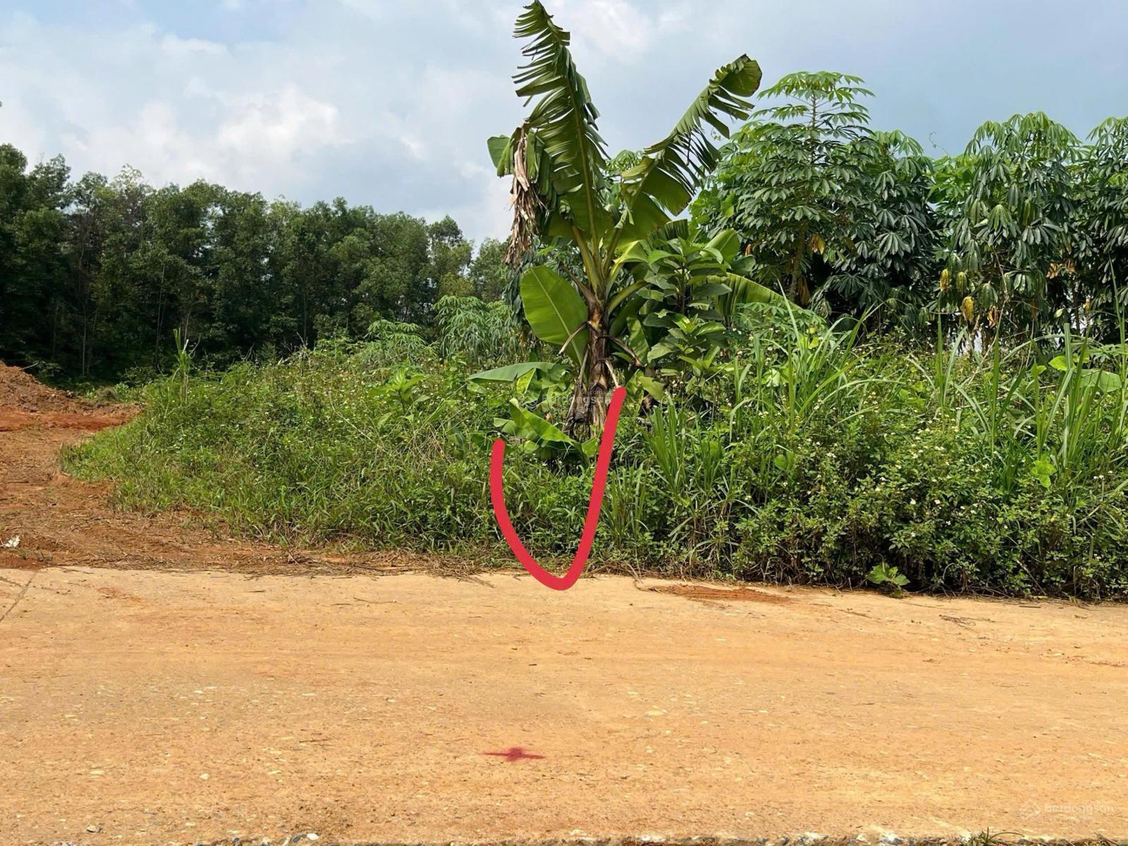 Đất Tu Vũ mặt đường trục chính ô tô tránh, cách cty gạch ngói sông Đà hơn 200m, trạm đăng kiểm 4km Đất Tu Vũ mặt đường trục chính ô tô tránh, cách cty gạch ngói sông Đà hơn 200m, trạm đăng kiểm 4km