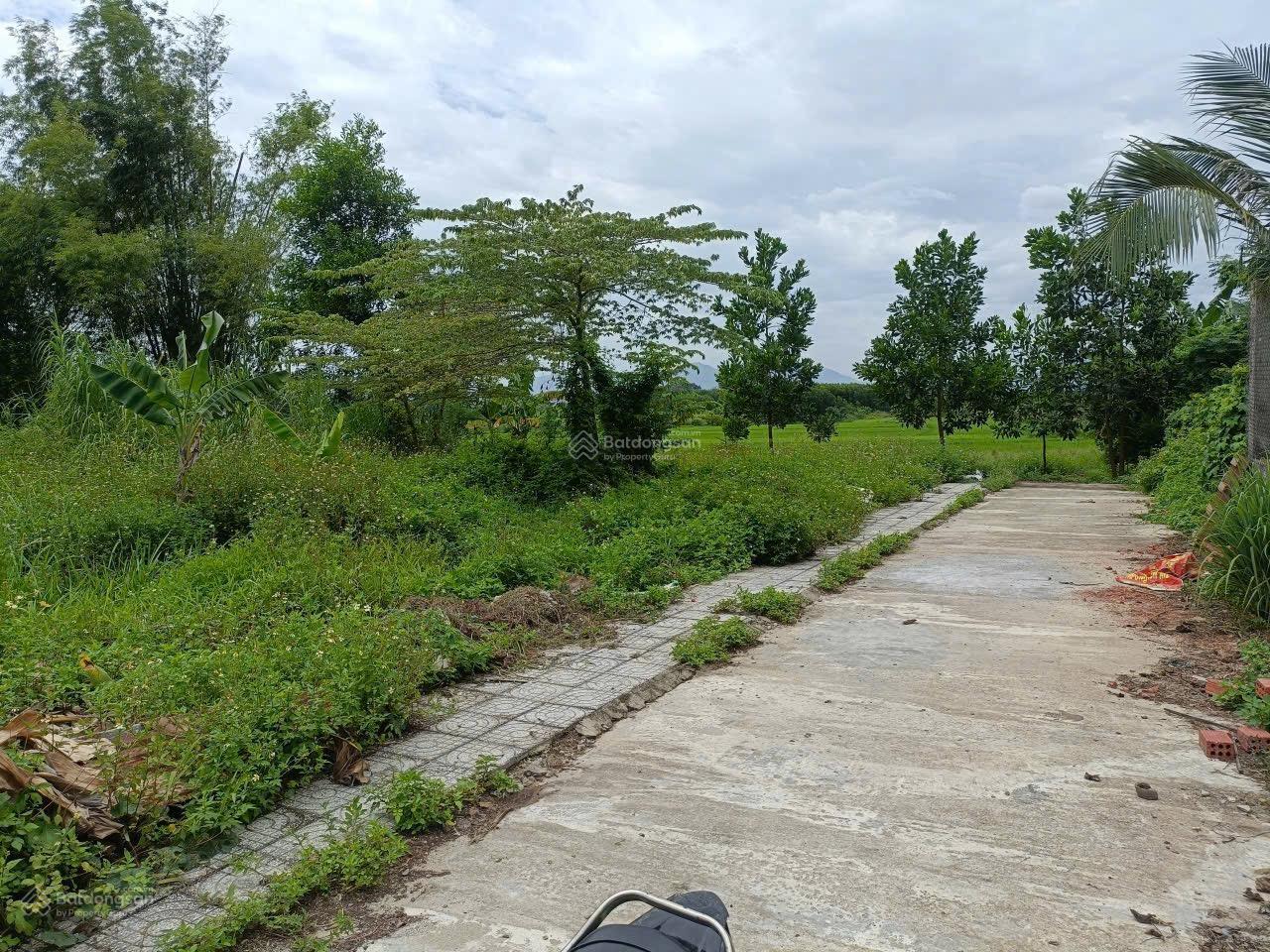 Cần bán gấp lô đất thôn Phú Mỹ, Đại Hiệp, Quảng Nam sau lưng Ql 1 A gần chợ Đại Hiệp