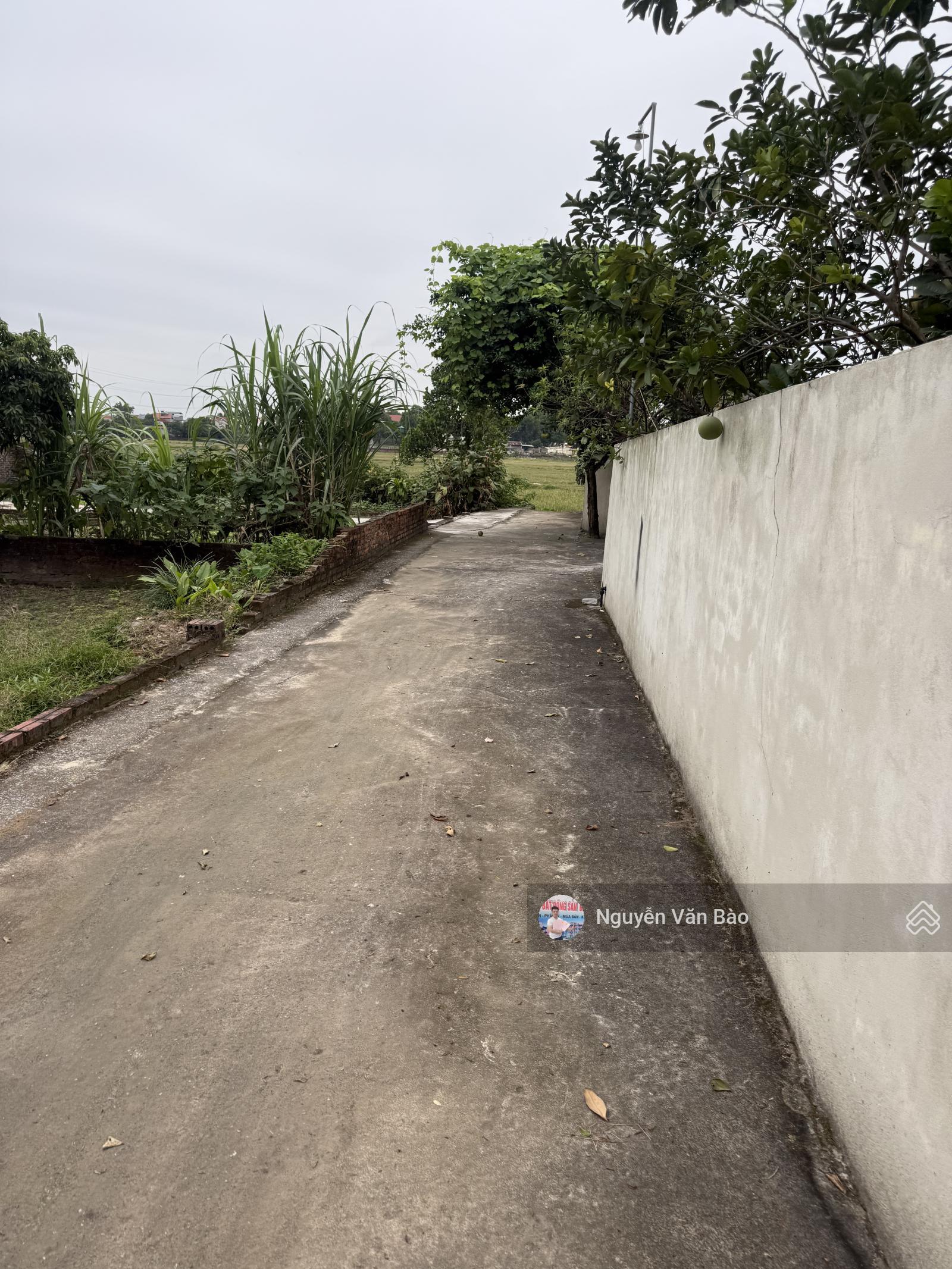 Chuyển nhượng lô đất tại Cộng Hoà, Phù Linh, Sóc Sơn, Hà Nội