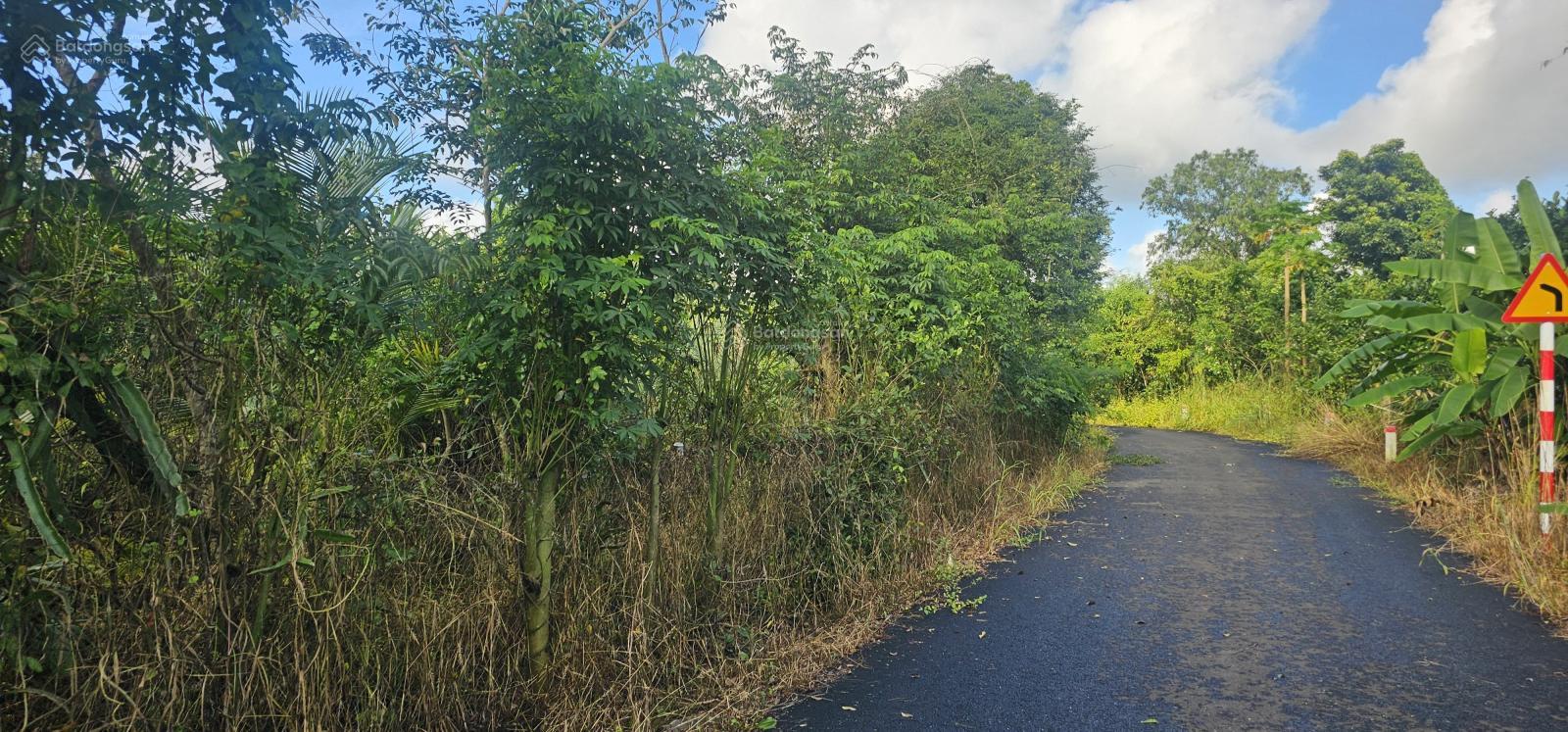 Bán vườn , mặt đường Bình Giã Đá Bạc , 3 mặt đường