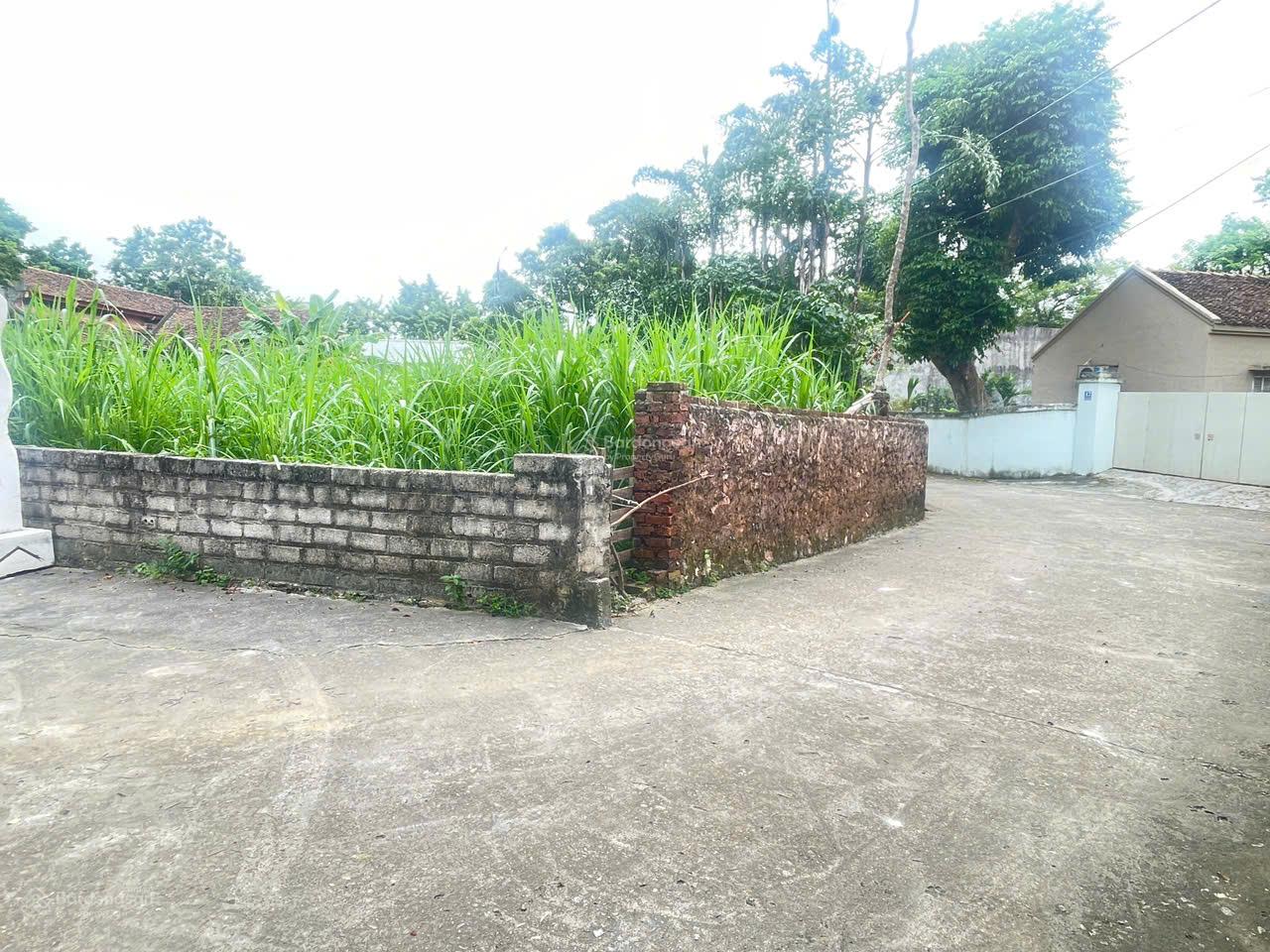 578m2 tại Tân Tiến, Chương Mỹ diện tích rộng rãi: Tổng diện tích 578 m²