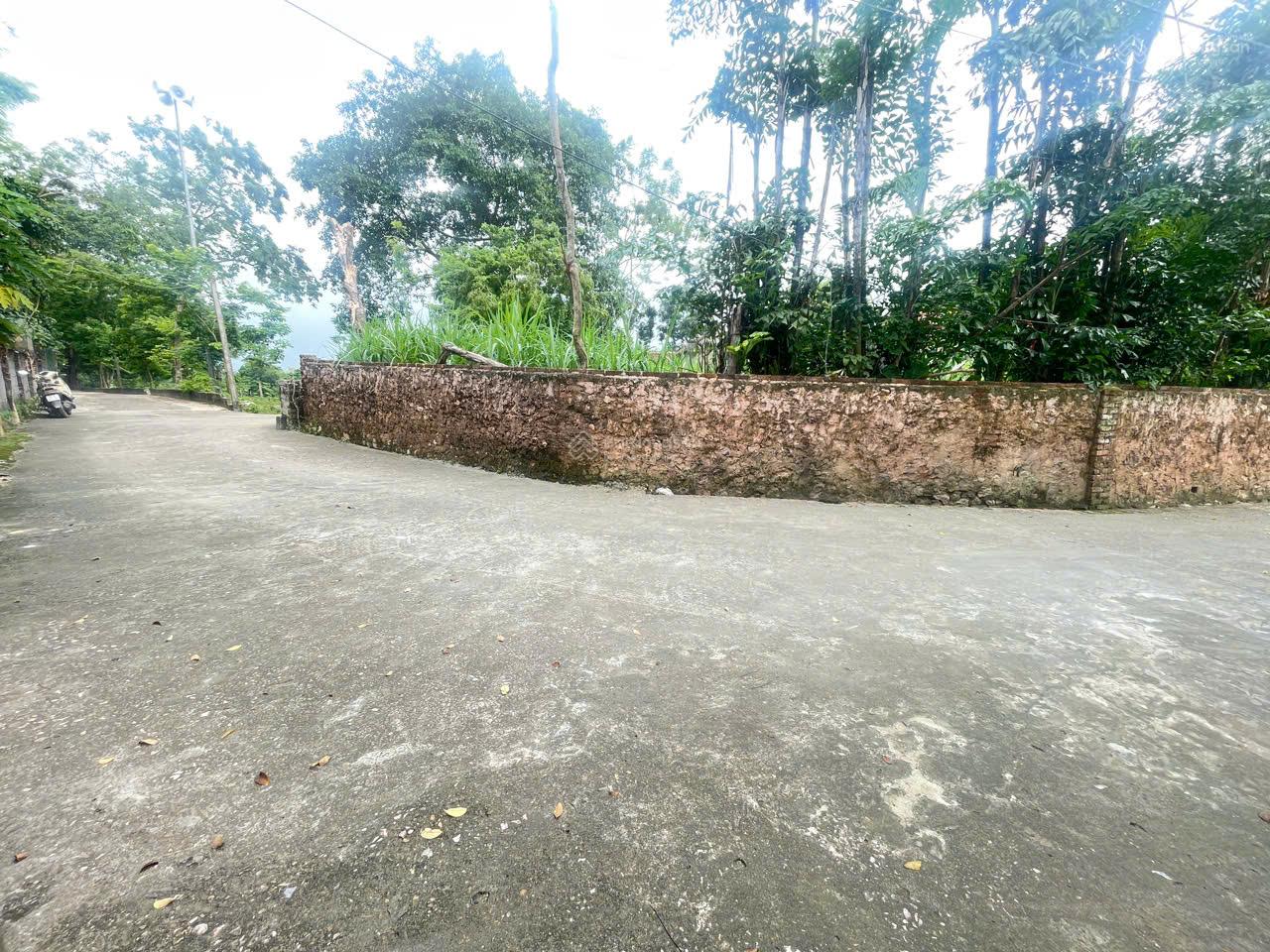 578m2 tại Tân Tiến, Chương Mỹ diện tích rộng rãi: Tổng diện tích 578 m²