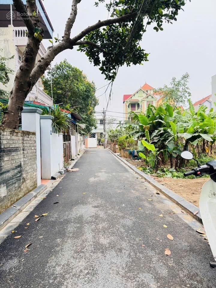 Bán đất tại đường xóm 4 Hải Bối, Đông Anh, Hà Nội, 5,05 tỷ, 53,6m2, hot