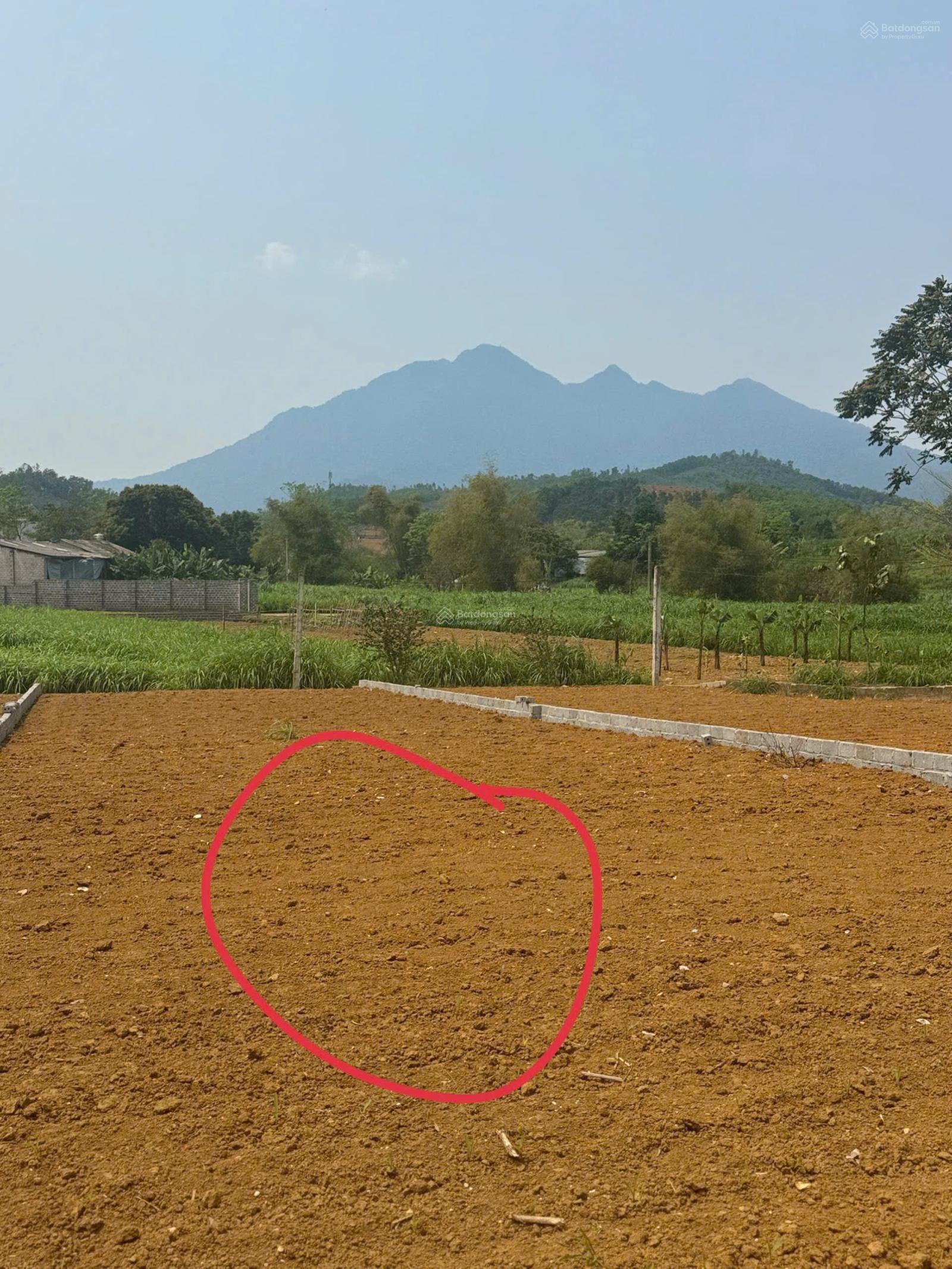 Cần chuyển nhượng lô đất với DT 262m2 trong đó có 75 TC tại Yên Bài (Vân Hoà cũ)