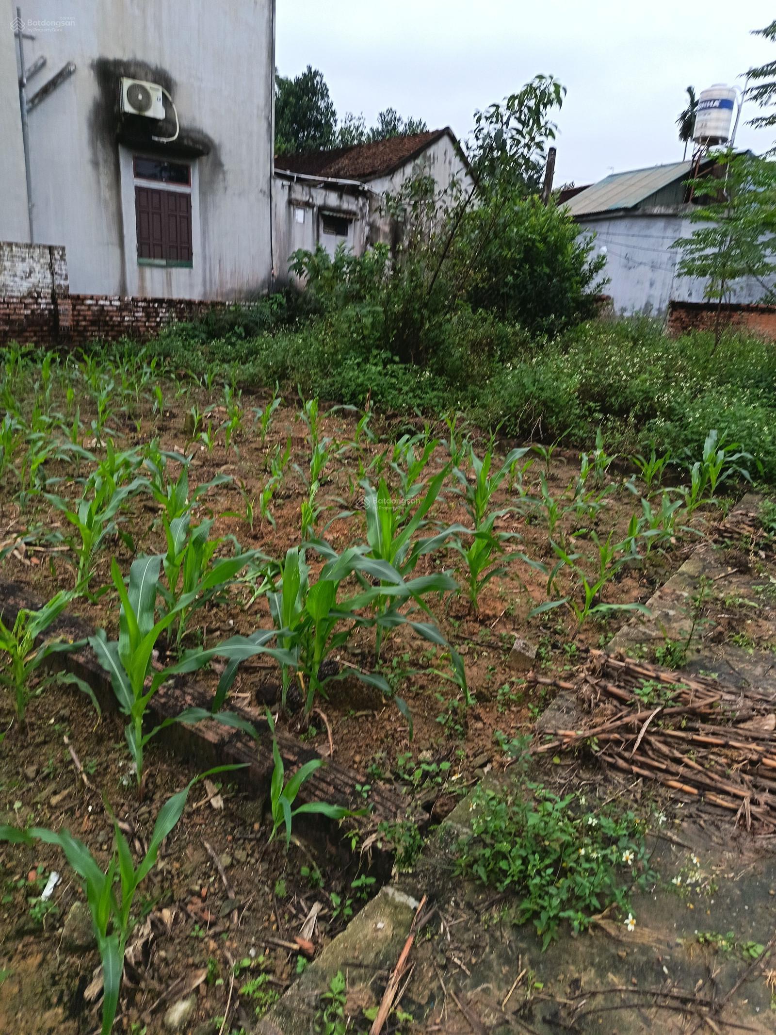 Hàng hiếm chỉ còn 1 lô giá 1,9 tỷ, 60m2 tại khu công nghệ cao Hòa Lạc. LH 0962 783 ***