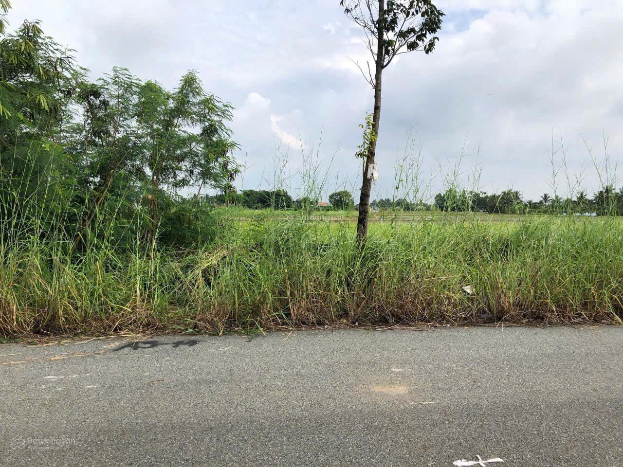 Chủ ngộp lô ngay sát khu Nam Phong Dragon, Mỹ Lệ. Giá 550tr/ 100m2. SHR