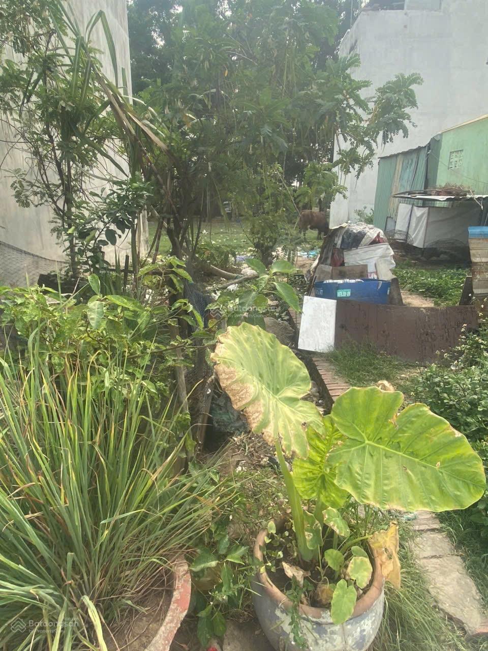 Bán nền đất đẹp hẻm xe hơi ngay đường 970 Phú Hữu, Quận 9 diện tích 59m2 ngang 4m Lh 0915 698 *** Bán nền đất đẹp hẻm xe hơi ngay đường 970 Phú Hữu, Quận 9 diện tích 59m2 ngang 4m Lh 0915 698 ***