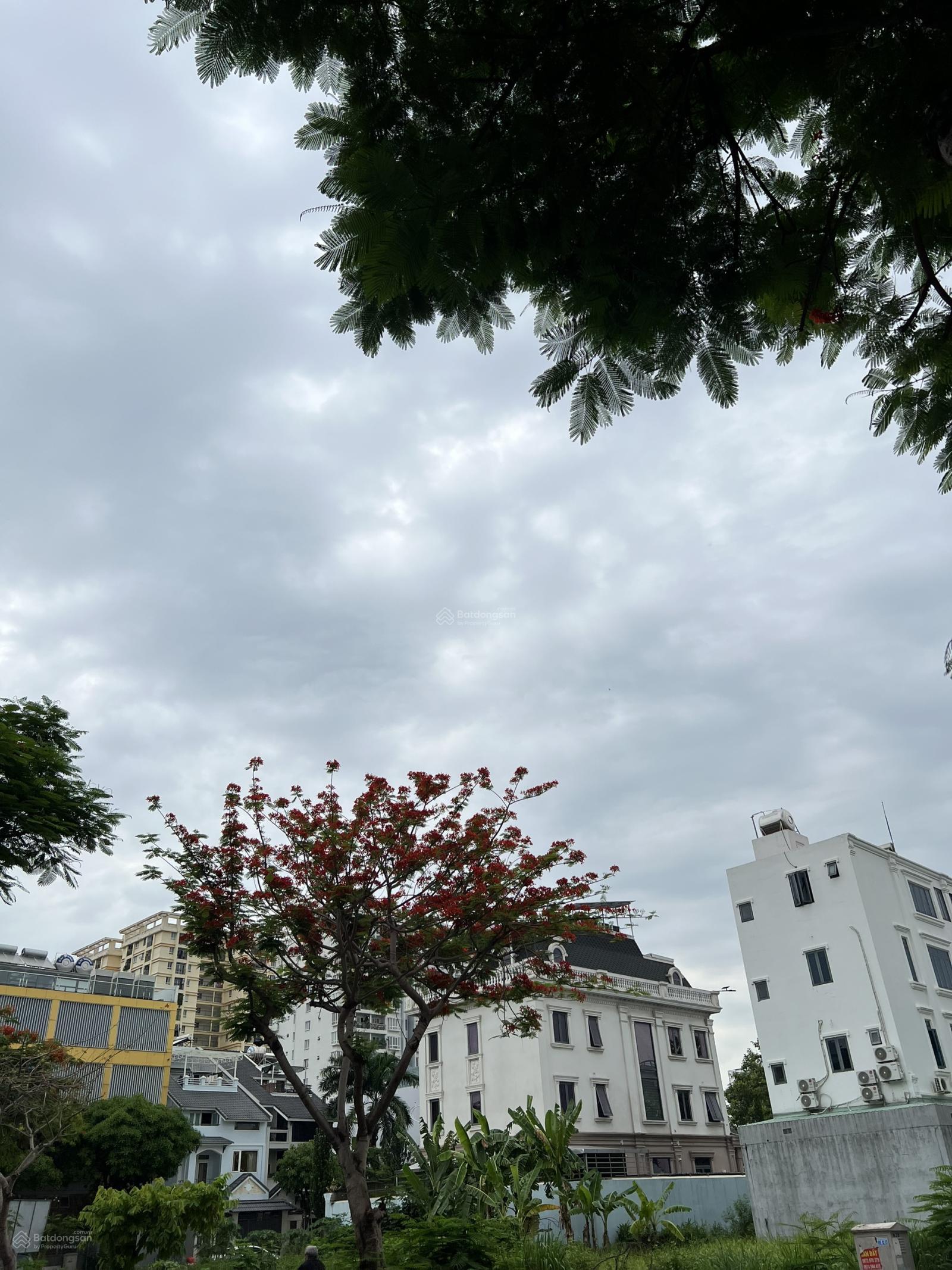 Bán lô 8x22 m - 176m2, mặt tiền đường 56, KDC Đông Thủ Thiêm, vị trí siêu đẹp đẹp giá bán 22,7 tỷ Bán lô 8x22 m - 176m2, mặt tiền đường 56, KDC Đông Thủ Thiêm, vị trí siêu đẹp đẹp giá bán 22,7 tỷ