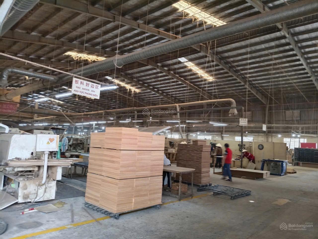 Cho thuê kho xưởng làm gỗ phun sơn 12000m2. Có 3000m2 chuyền sơn ở Tân Uyên Bình Dương HCM