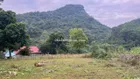 Bán đất nghỉ dưỡng view núi cực đẹp Cư Yên, Lương Sơn, Hòa Bình, giá chỉ 2,6 tỷ