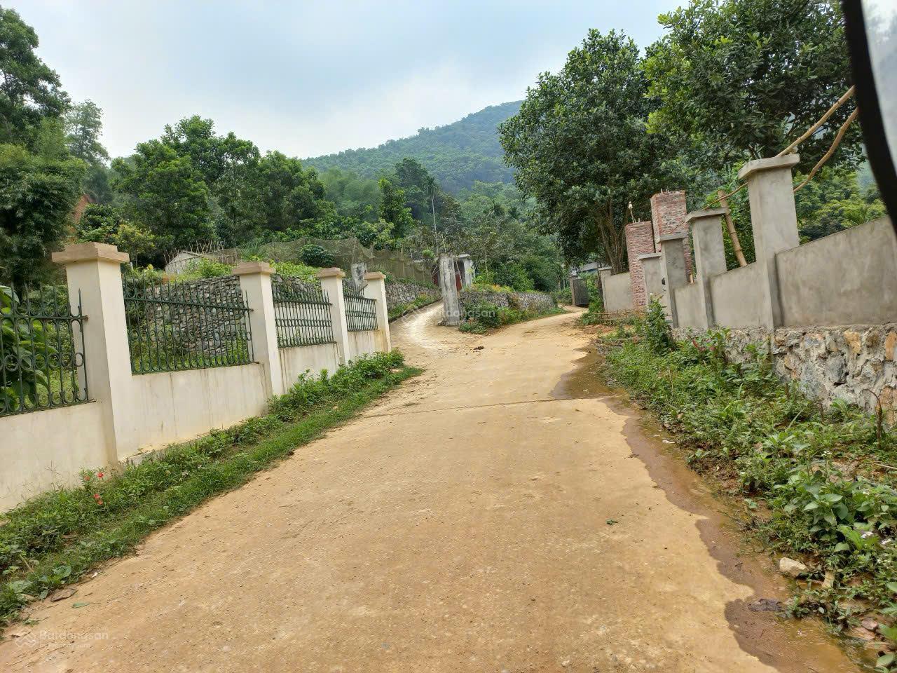 Bán đất nghỉ dưỡng view núi cực đẹp Cư Yên, Lương Sơn, Hòa Bình, giá chỉ 2,6 tỷ