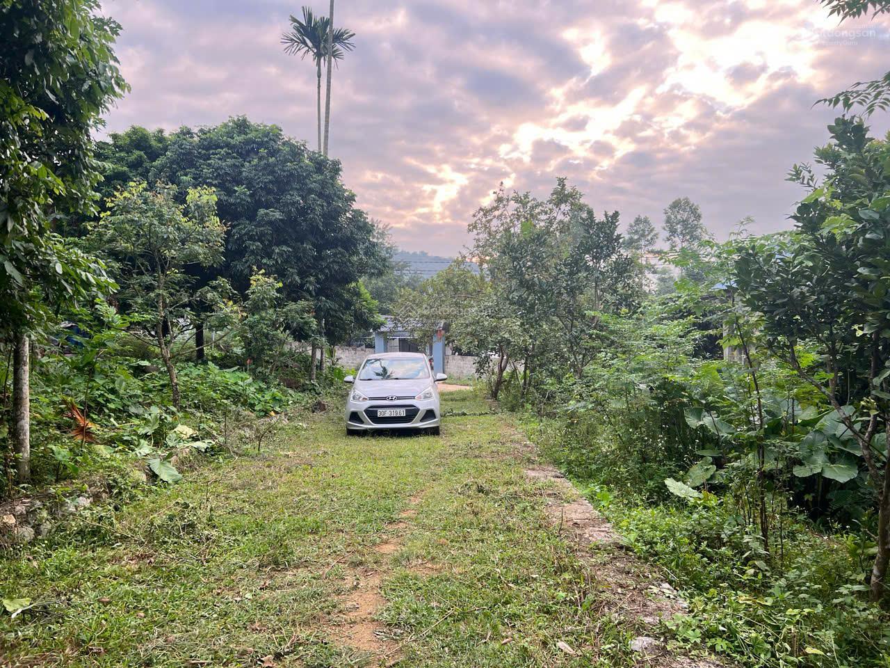 Bán đất nghỉ dưỡng view núi cực đẹp Cư Yên, Lương Sơn, Hòa Bình, giá chỉ 2,6 tỷ