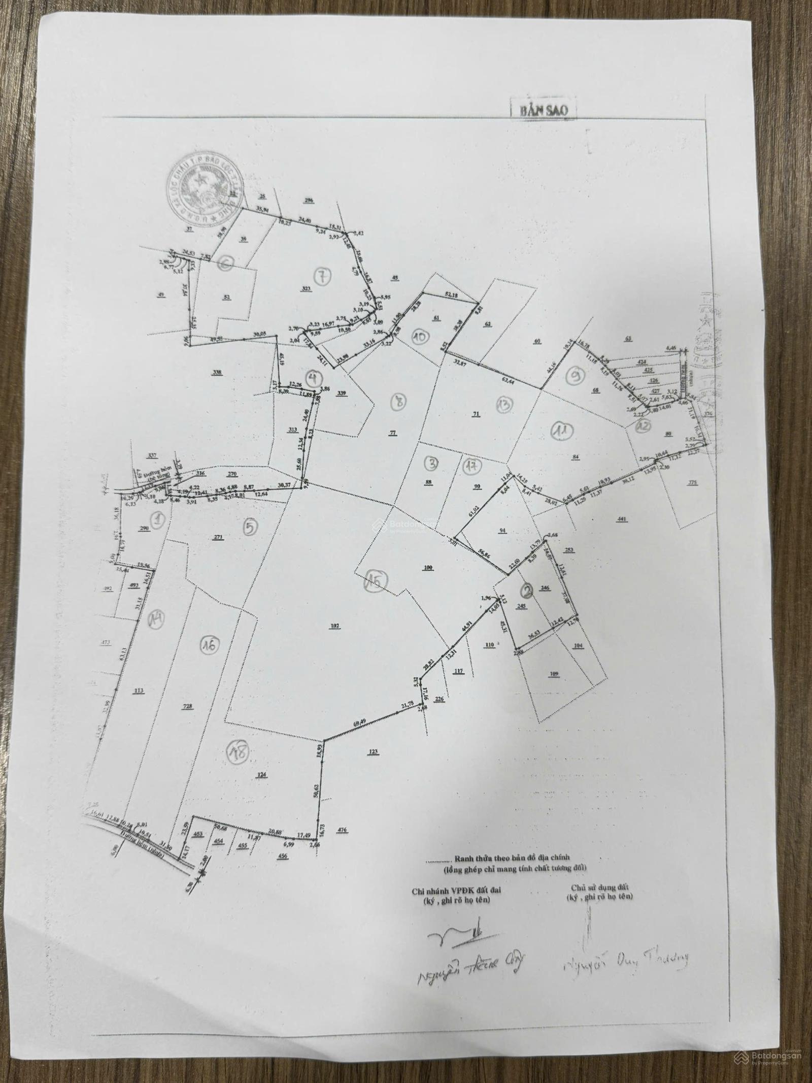 Bán 16 hecta đất CLN có nguồn thu, nằm tại xã Lộc Châu, TP. Bảo Lộc. Có chứng chỉ quy hoạch rõ ràng