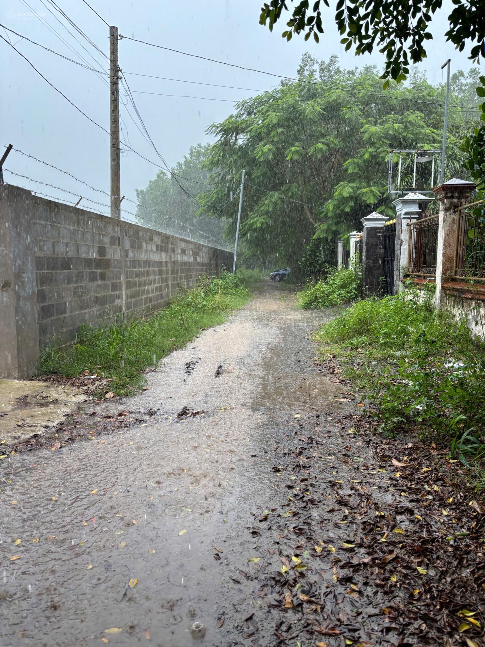 Chủ gửi bán 1017m2 đất vườn đường xe hơi cách đường Vành Đai 3 - 180m